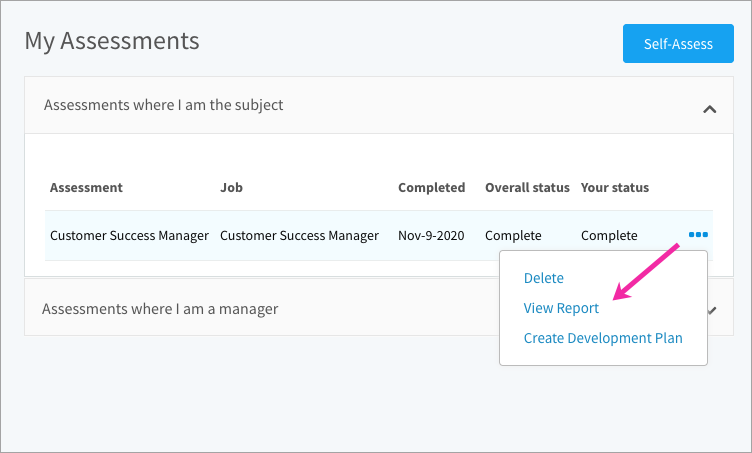 Downloading an assessment report